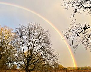 Prachtige regenboog boven de natuur rondom Vakantiehuis in Spier, Midden Drenthe.