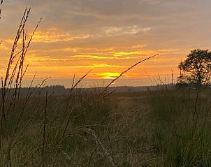 Guest house 170129 - Holiday property Midden Drenthe - Vakantiehuis in Spier