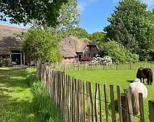 Guest house 170217 • Holiday property Midden Drenthe • Vakantiehuis in Zwiggelte 