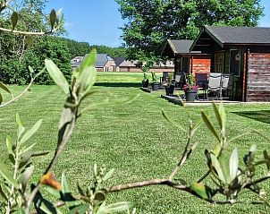 Guest house 170221 - Holiday property Midden Drenthe - Huisje in Zwiggelte