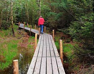 Guest house 170304 - Holiday property Midden Drenthe - DG1287