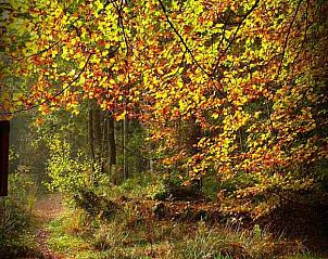 Guest house 170304 - Holiday property Midden Drenthe - DG1287