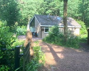 Guest house 170305 - Holiday property Midden Drenthe - Huisje in Hoogersmilde