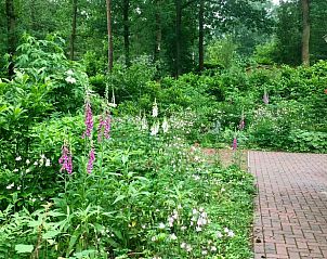 Guest house 170305 - Holiday property Midden Drenthe - Huisje in Hoogersmilde