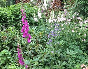 Guest house 170305 - Holiday property Midden Drenthe - Huisje in Hoogersmilde