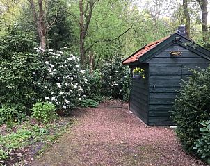 Guest house 170305 - Holiday property Midden Drenthe - Huisje in Hoogersmilde