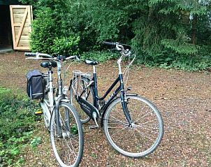 Guest house 170305 - Holiday property Midden Drenthe - Huisje in Hoogersmilde