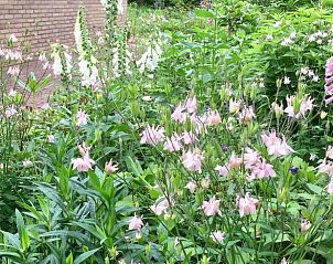 Guest house 170305 - Holiday property Midden Drenthe - Huisje in Hoogersmilde