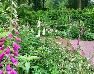 Guest house 170305 - Holiday property Midden Drenthe - Huisje in Hoogersmilde