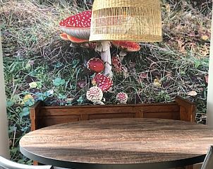 Guest house 170308 - Holiday property Midden Drenthe - DG1639