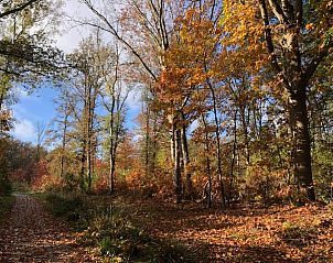 Guest house 170308 - Holiday property Midden Drenthe - DG1639