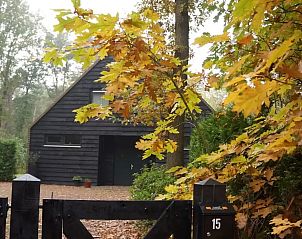 Unterkunft 170309 - Ferienhaus Midden Drenthe - It Bosk