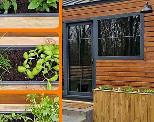 Guest house 170313 - Holiday property Midden Drenthe - Huisje in Hoogersmilde