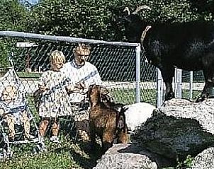 Guest house 170406 - Holiday property Midden Drenthe - Huisje in Schoonloo