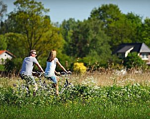 Guest house 170406 - Holiday property Midden Drenthe - Huisje in Schoonloo