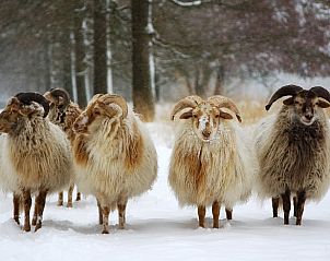 Guest house 170408 - Holiday property Midden Drenthe - Vakantiehuis in Schoonloo