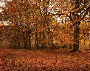 Guest house 170408 - Holiday property Midden Drenthe - Vakantiehuis in Schoonloo