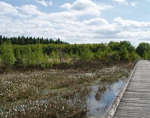 Guest house 170408 - Holiday property Midden Drenthe - Vakantiehuis in Schoonloo