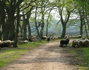 Guest house 170410 - Holiday property Midden Drenthe - Vakantiehuis in Schoonloo