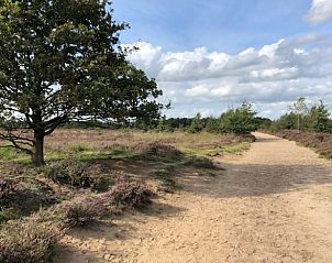 Verblijf 170426 - Vakantiewoning Midden Drenthe - Vakantiehuis in Schoonloo