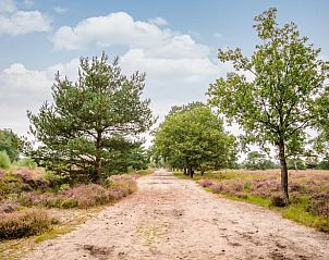 Guest house 170428 - Holiday property Midden Drenthe - Vakantiehuisje in Schoonloo