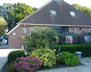 Flowery garden of Cottage in Schoonloo, vacation accommodation in Drenthe.