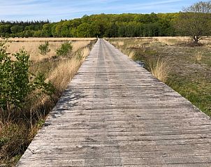 Walking trail in nature around Cottage in Schoonloo, vacation home in Drenthe.
