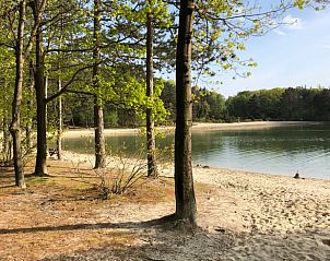 Quiet forest environment near Cottage in Schoonloo, vacation accommodation in Drenthe.