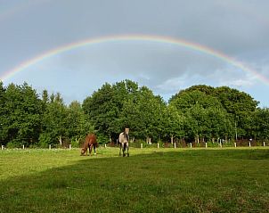 Rainbow over meadow at Cottage in Schoonloo, vacation home in Central Drenthe.