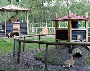 Guest house 170432 - Holiday property Midden Drenthe - DG410