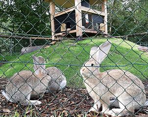 Guest house 170434 - Holiday property Midden Drenthe - DG988