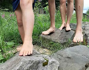 Guest house 170434 - Holiday property Midden Drenthe - DG988