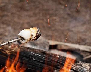 Guest house 170436 - Holiday property Midden Drenthe - DG1430