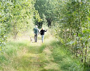 Guest house 170436 - Holiday property Midden Drenthe - DG1430