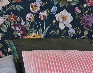 Guest house 170436 - Holiday property Midden Drenthe - DG1430