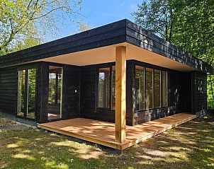 Vakantiehuisje in Schoonloo, Drenthe met moderne veranda omgeven door natuur.