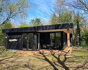 Buitenzijde van Vakantiehuisje in Schoonloo, Drenthe met terras en zitje.