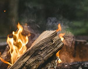 Kampvuurplek bij Vakantiehuisje in Schoonloo, Drenthe voor gezellige avonden.