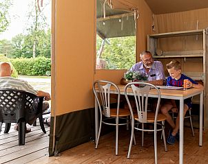 Guest house 170442 - Tent house Midden Drenthe - Safaritent