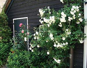 Verblijf 170611 - Vakantiewoning Midden Drenthe - Vakantiehuis in Beilen