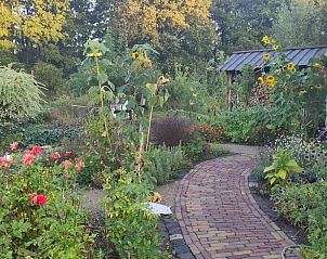 Guest house 170619 - Holiday property Midden Drenthe - Vakantiehuisje in Beilen