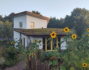 Guest house 170619 - Holiday property Midden Drenthe - Vakantiehuisje in Beilen