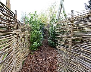 Guest house 170626 - Holiday property Midden Drenthe - Vakantiehuisje in Beilen