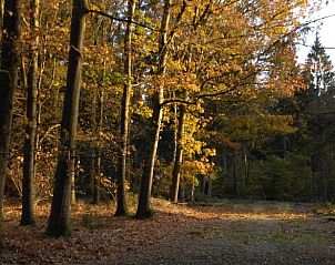 Guest house 170626 - Holiday property Midden Drenthe - Vakantiehuisje in Beilen