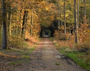 Guest house 170626 - Holiday property Midden Drenthe - Vakantiehuisje in Beilen