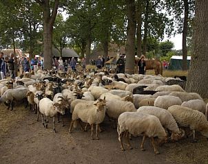 Guest house 170626 - Holiday property Midden Drenthe - Vakantiehuisje in Beilen