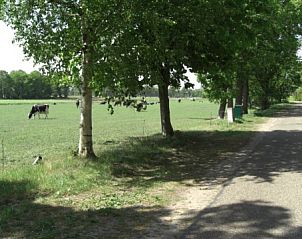 Lndliche Umgebung von De Schaapskooi, Drijber, mit grnen Feldern und Bumen, ideal fr einen ruhigen Urlaub in Drenthe.
