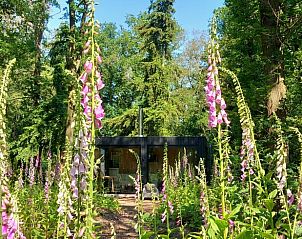 Guest house 170911 - Holiday property Midden Drenthe - Vakantiehuisje in Drijber