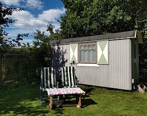 Vakantiehuisje in Orvelte, gezellige buitenruimte met ligstoelen in de natuur van Midden Drenthe.