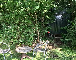 Buitenterras van Huisje in Orvelte, Midden Drenthe, Drenthe omgeven door groene natuur en rustgevende omgeving.